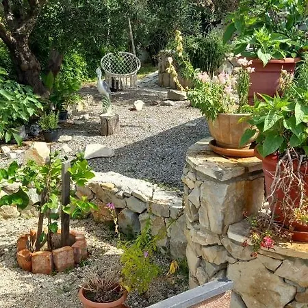 Villa D'amante